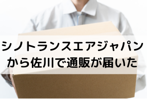 シノトランスエアジャパン