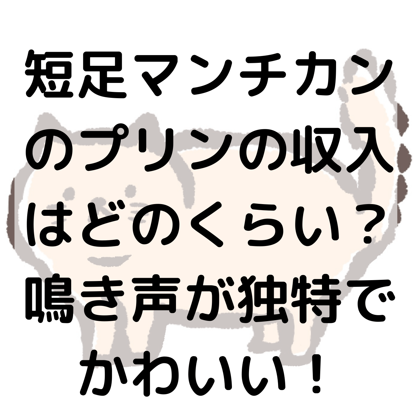 短足マンチカンのプリンの収入はどのくらい？鳴き声が独特でかわいい 